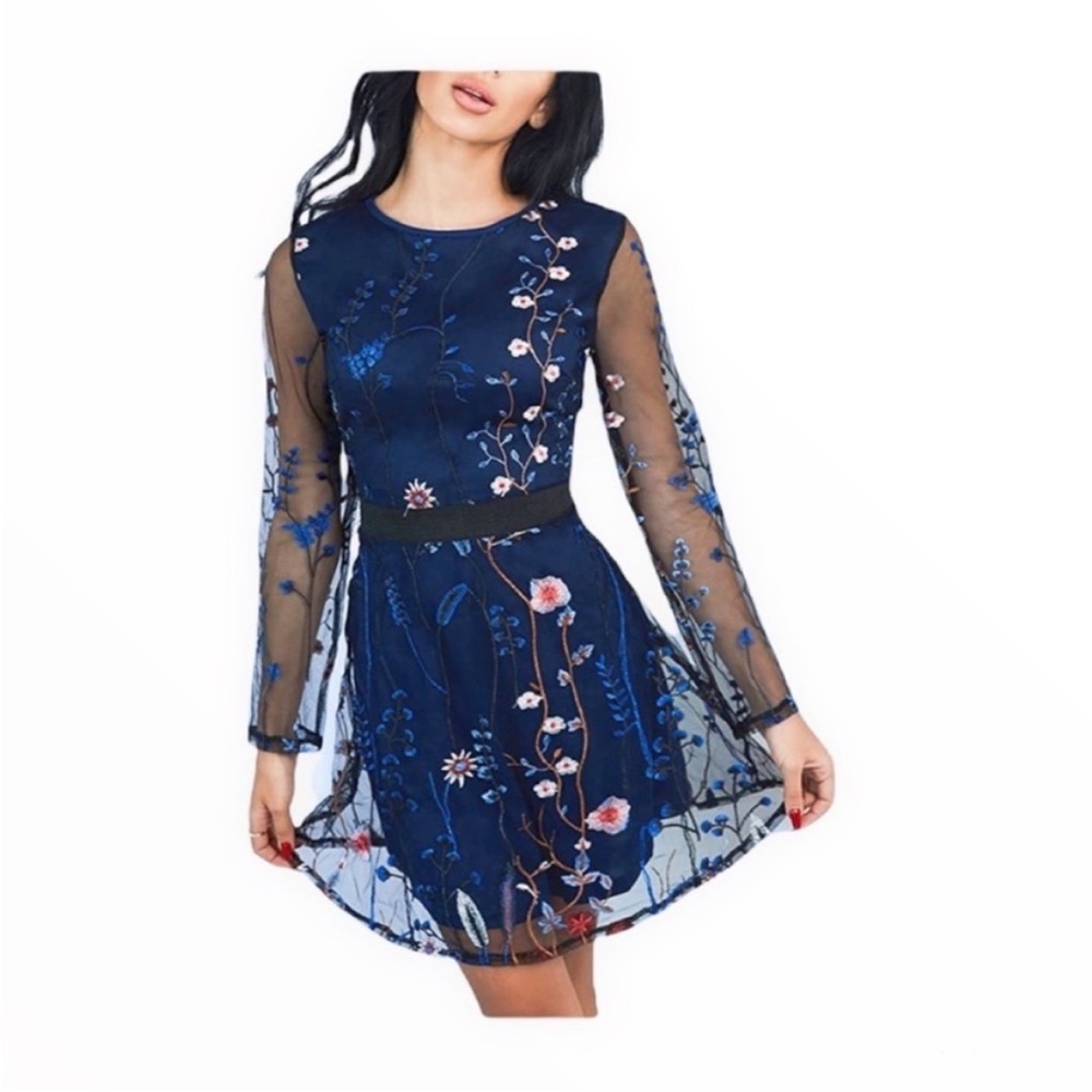 CBR Whimsical Embroidered Floral Long Sleeve Mesh Mini Dress NWT.